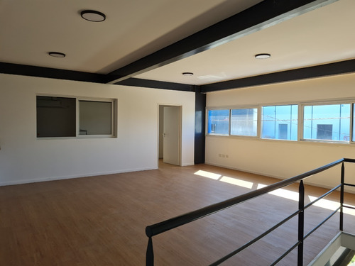 Imagen 8 de 15 de Depósito A Estrenar 1762 M2