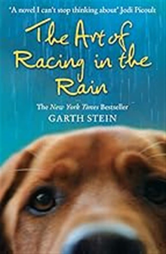 The Art Of Racing In The Rain: A Novel / Garth Stein