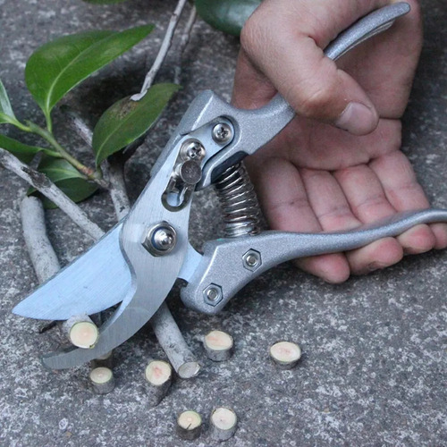 Tijeras De Podar De Jardín, Pinzas De Tijera Para