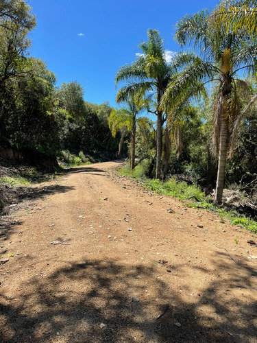 Chacra De 5 Hecteras Con Arroyo Propio