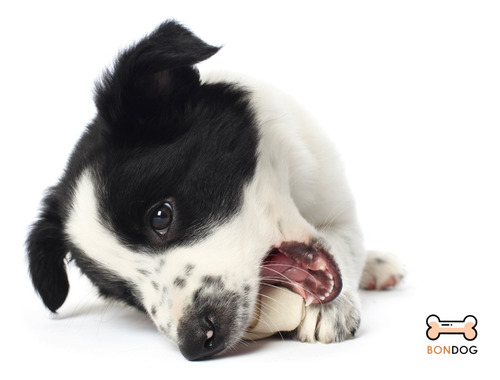 Premios, 30 Piezas Carnaza Perro Pequeños (6-7cm)