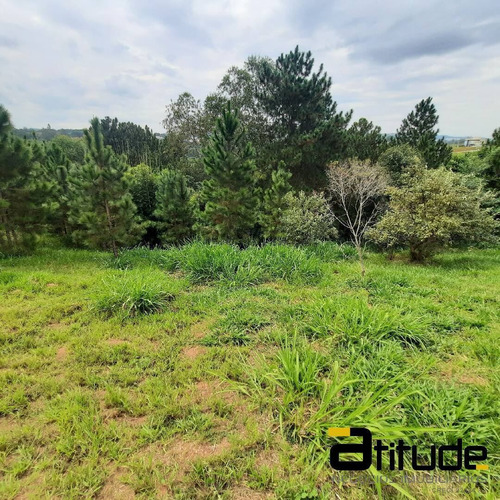 Imagem 5 de 13 de Terreno No Reserva Santa Anna. - 4835