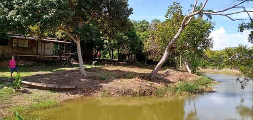 Imagem 11 de 13 de Sitio Terreno