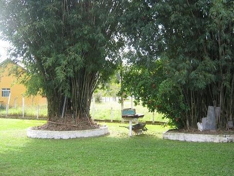 Imagem 21 de 21 de Casa Residencial À Venda, Lami, Porto Alegre. - Ca0400