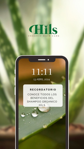 Shampoo Hils Sábila Y Romero Para Crecimiento De Cabello