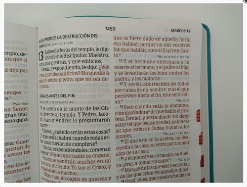 Imagen 7 de 10 de Biblia Letra Super Gigante Para Mujer Rvr1960 Aqua Indice