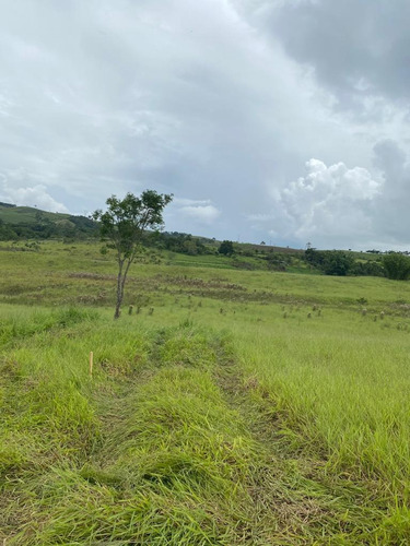 Imagem 5 de 14 de 49) Terreno Para Chácara Em Empreendimento Fechado!