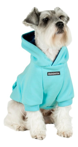 Hoodie Aguamarina Talla Xs