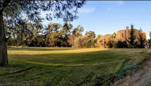 Imagen 2 de 9 de Terreno - Casuarinas Del Pilar