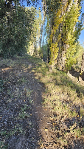 Gran Terreno O Lote De 2 Has En San Rafael Ideal Emprendimie