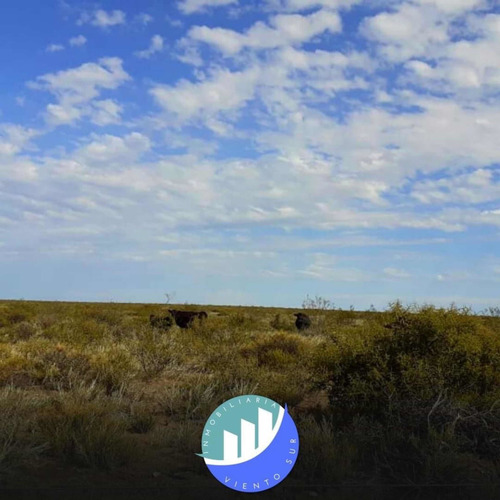 Imagen 1 de 8 de Vendo Campo De 6153 Hectáreas A 80km De Algarrobo Del Águila