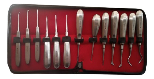 Elevadores Exodoncia Set De 13u Dental Estuche Santiago