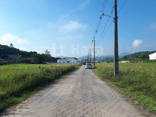 Terreno A Venda Em Guabiruba/sc - 1445