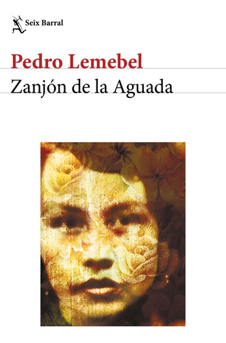 Libro: Zanjón De La Aguada