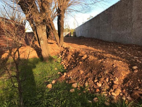 Imagen 4 de 8 de Terreno - Santo Tome