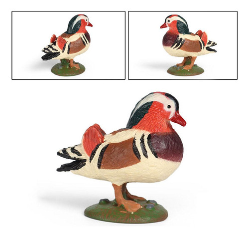 Figuras De Acción Cognitiva Animal De La Estatuilla Del