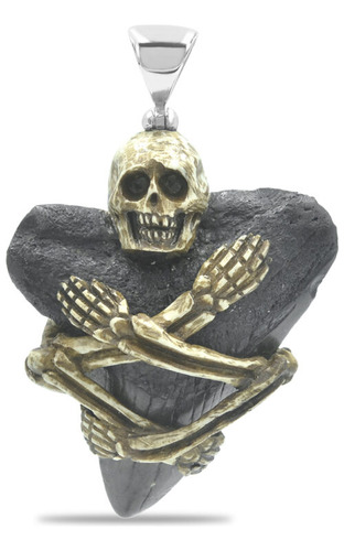 Dije De Diente De Tiburón Fósil Con Esqueleto Decorativo