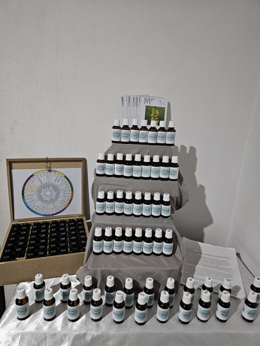 Kit Flores De Bach 56 Frascos + Curso Para Ser Terapeuta