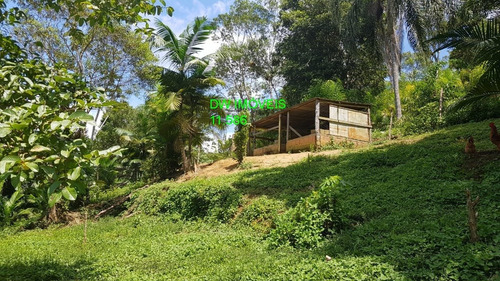 Imagem 9 de 15 de Sitio - 04985 - 67857569