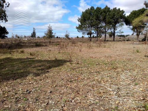 Terreno En Calle El Cangrejo -paraje Pavon-
