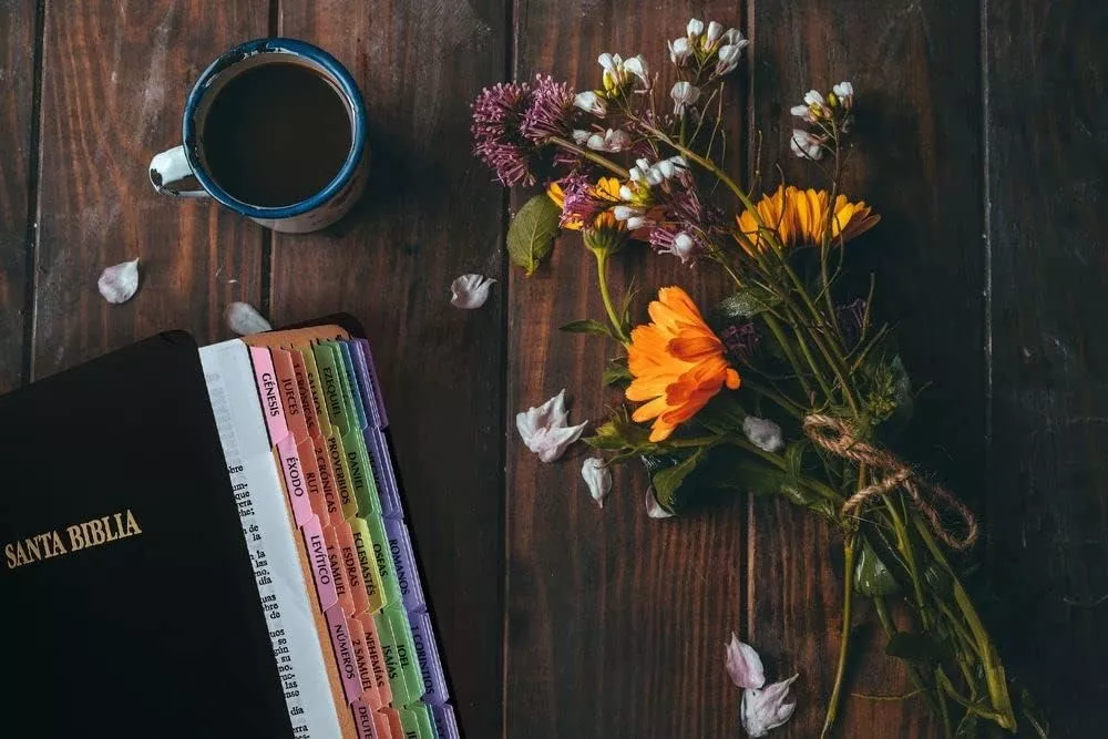 Tercera imagen para búsqueda de separadores libros