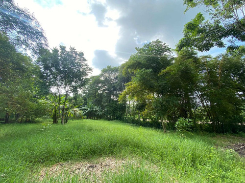 Imagen 9 de 14 de ¡¡¡ En Turbaco -lote Campestre Para Inversion- 11.876 M2 ¡¡¡