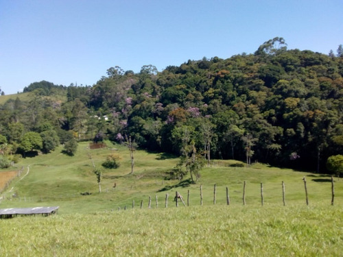 Imagem 28 de 30 de Fazenda Em Juquitiba; Fazenda À Venda Em Juquitiba Sp - 241 - 32982716