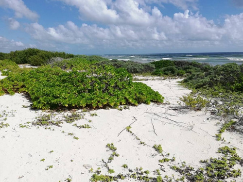 Imagen 14 de 16 de Oportunidad!! Terreno Frente Al Mar Mahahual-rio Indio P2699