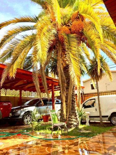 Terreno Construccion En Venta En La Cisterna