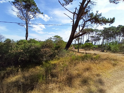 Imagen 1 de 8 de Excelente Terreno Cerca Del Mar