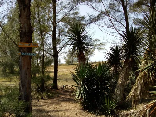 Terreno Na Praia Do Xexé - Farol De Sao Thomé - Rj