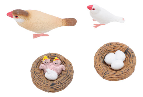 Figuras Educativas De Pvc Sobre El Ciclo De Vida De Aves, 4