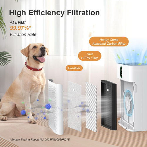 Purificador De Aire Para Habitaciones Grandes Con Wi-fi Y Al Color