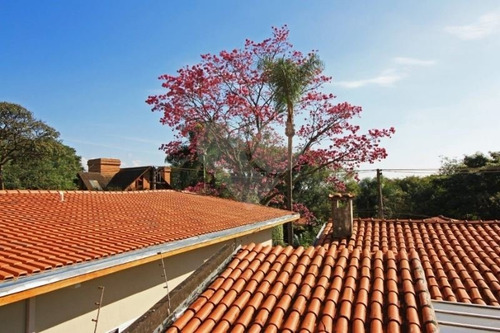 Alto De Pinheiros - Vila Beatriz - 353-im138533