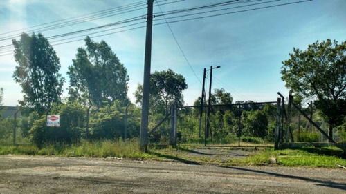 Imagem 1 de 5 de Area Industrial - Linha Julieta - Ref: 6902 - V-6902