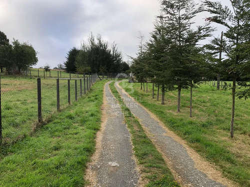 Espectacular Terreno De 3,9 Hectáreas En Puerto Varas