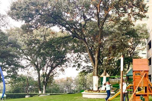 Imagen 8 de 11 de Av. Secretaría De Marina Lomas De Vista Hermosa