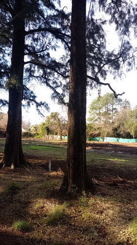 Terreno En Venta: ¡financiación Disponible! #