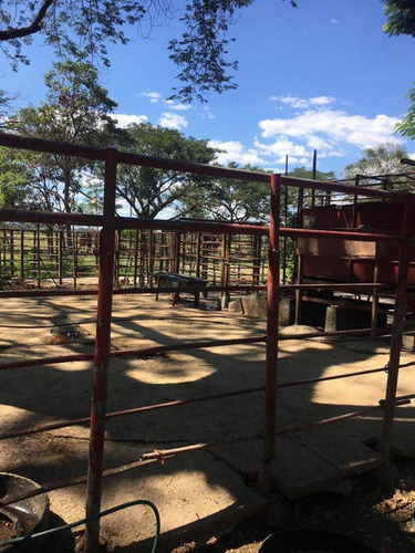 Imagen 2 de 19 de En Venta Finca De 50 Hectáreas, Ubicada En El Estado Ciojede