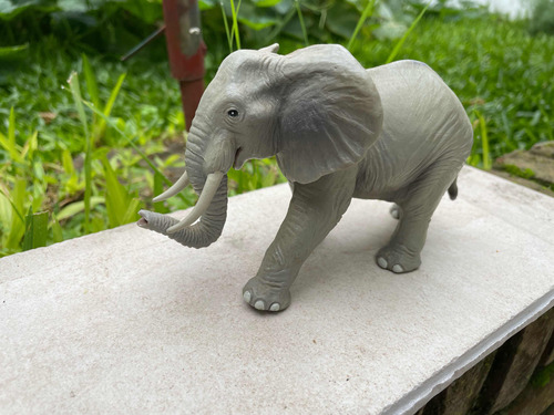 Elefante Africano En Olastico