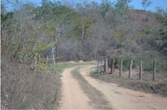 Imagen 13 de 14 de Venta Finca Tinaquillo Plano Pozo Tanque Cod. 422543 Cesar Laurentin