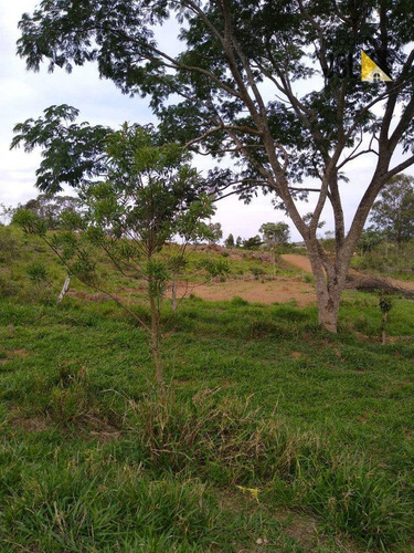 Imagem 3 de 4 de Chácara À Venda, 1596 M² - Ch0039