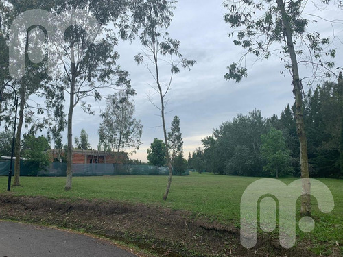Imagen 9 de 10 de Venta Terreno - Club Miralagos