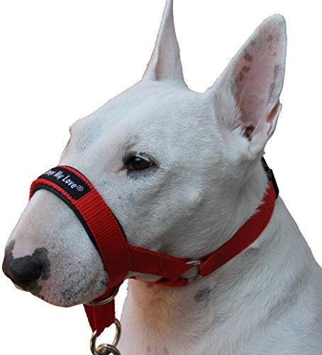 Visit The Dogs My Love Store Collar Cabeza