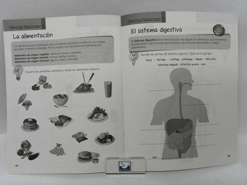 Guías Escolares Para 3ro De Primaria Paquete De 4 Libros