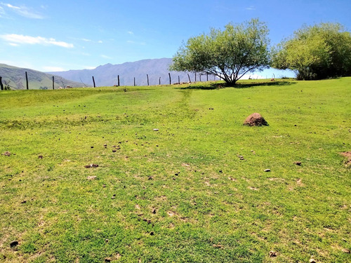 Tafi Del Valle - Las Carreras -terreno De 1070 M2 S/ Ruta 325