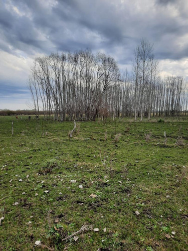 Imagen 8 de 12 de Campo En Venta, Costa Uruguay Sur 0