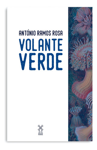 Volante verde, de Rosa, Antônio Ramos. Editora Moinhos Ltda, capa mole em português, 2019