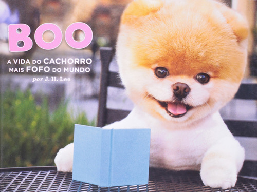 Libro Boo: A Vida De Cachorro Mais Fofo Do Mundo De Lee J H