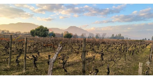 Parcela Única En El Corazón Del Valle De Colchagua
